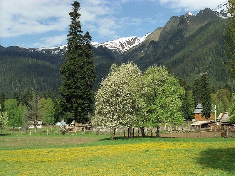 База старый архыз в архызе фото