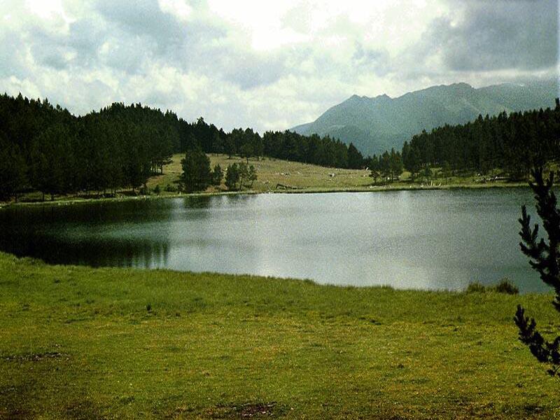 ����� �����-ʸ��. �����