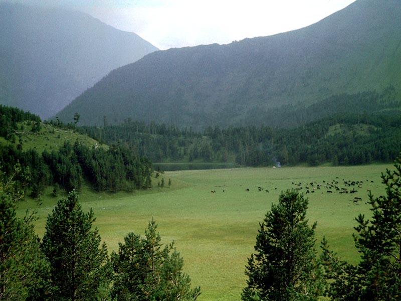 ����� �����-ʸ��. �����