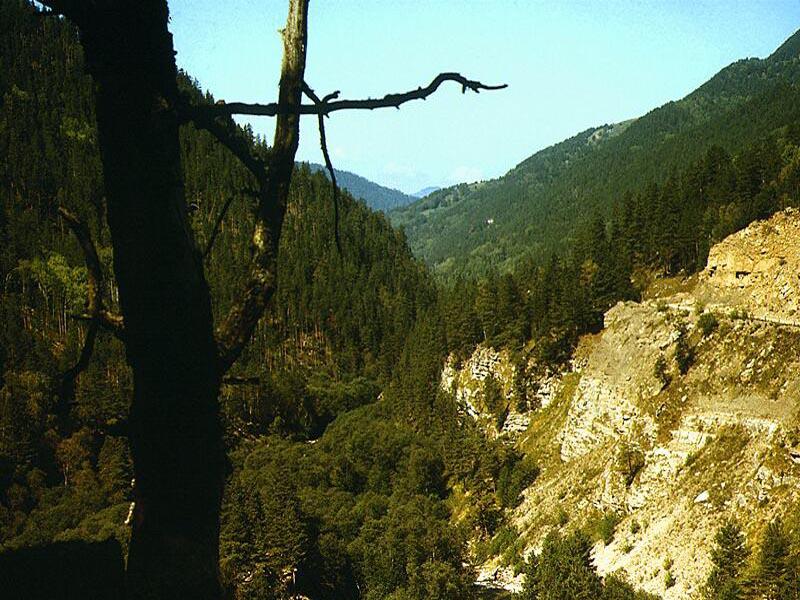 ������ ���� �����. �����