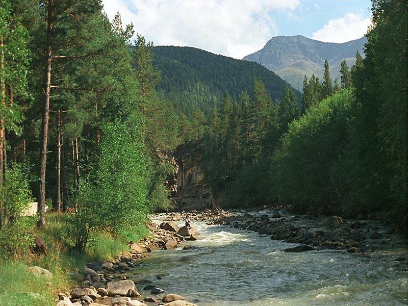 ������ ���� �����. �����