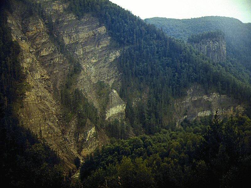 ������ ���� �����. �����