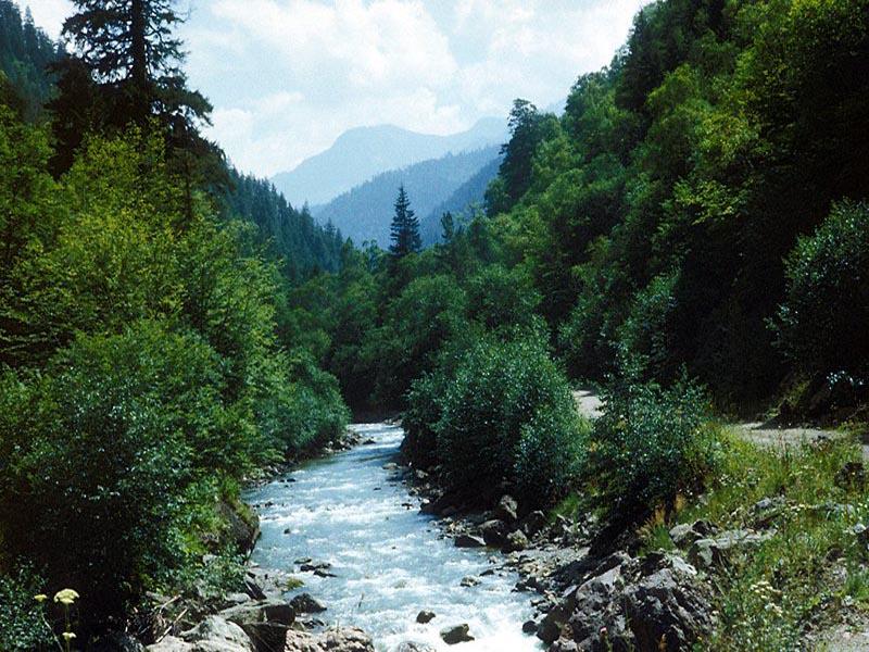 ������ ���� �����. �����