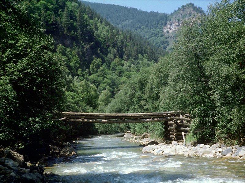 � ������ ���� �����. �����