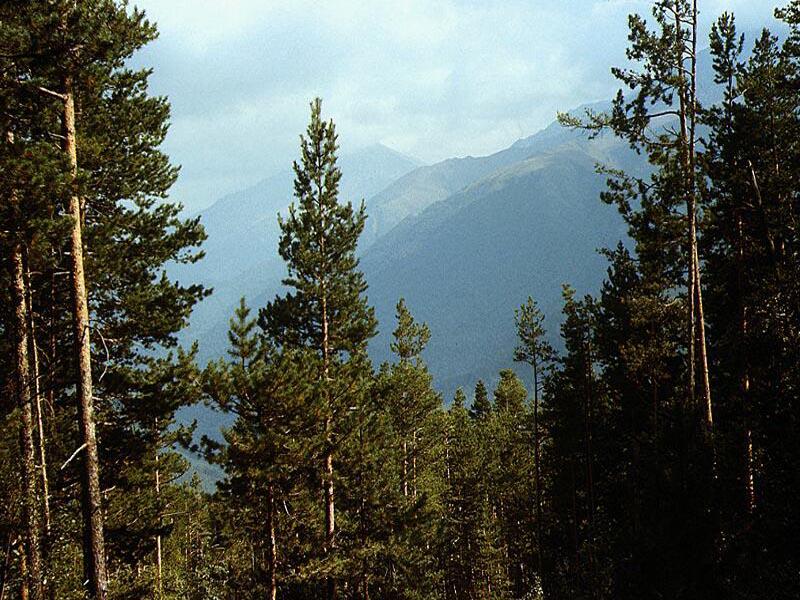 ������ ���� ����� � ������ ����� �����-ʸ��. �����