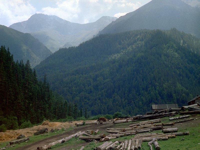 ��������� � ��������� ���� �����. �����