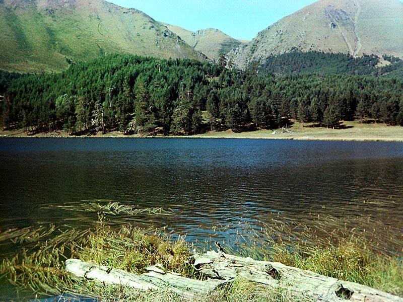 ����� �����-ʸ��. �����