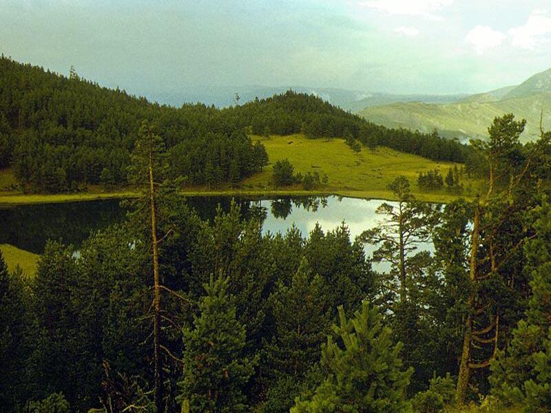 ����� �����-ʸ��. �����